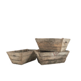 French Blueberry Baskets FC-1254